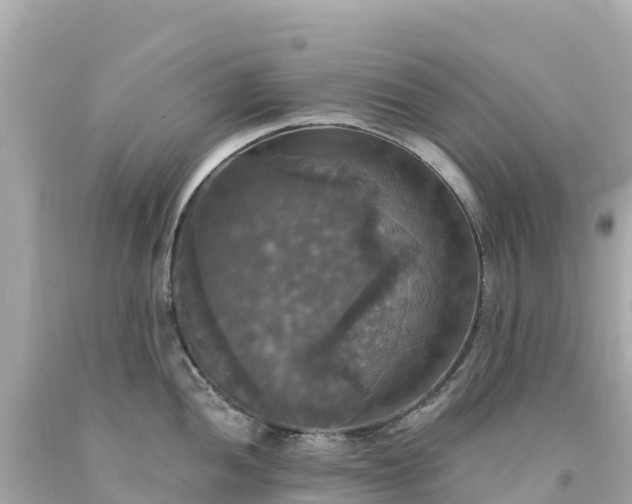 X0000094211052200711021111
