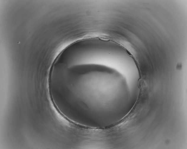 X0000094211055200711021111