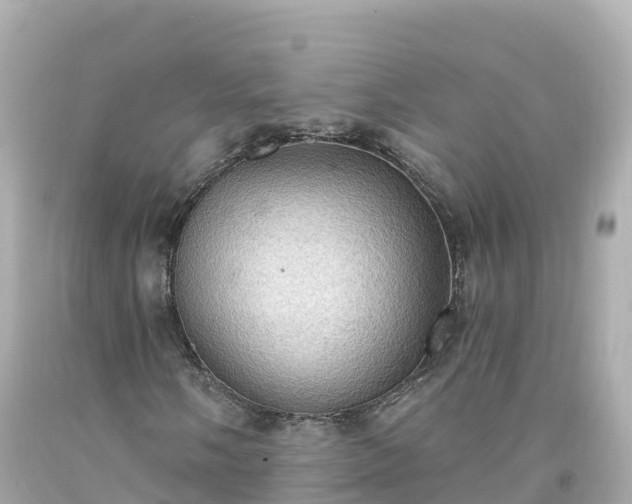 X0000094211058200711021111