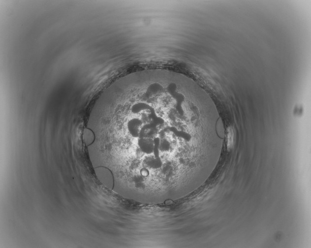 X0000094211059200711021111