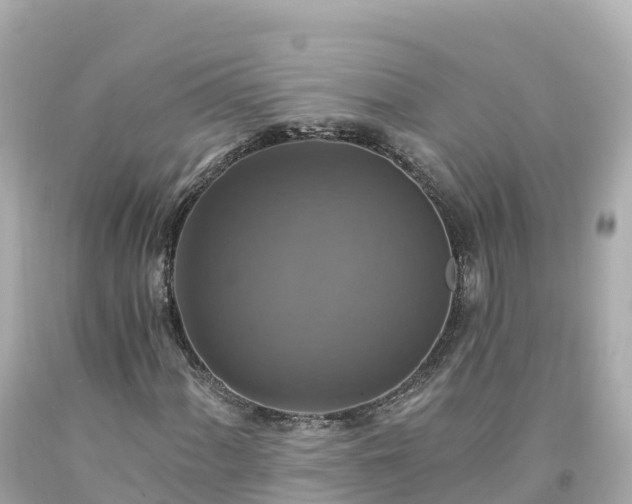 X0000094211060200711021111