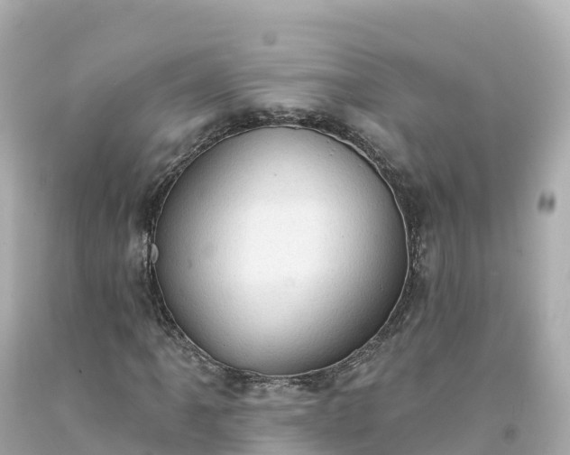 X0000094211061200711021111