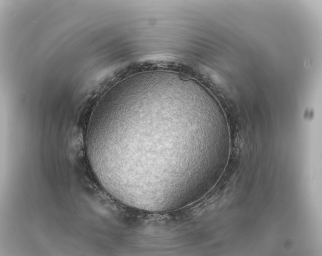 X0000094211062200711021111