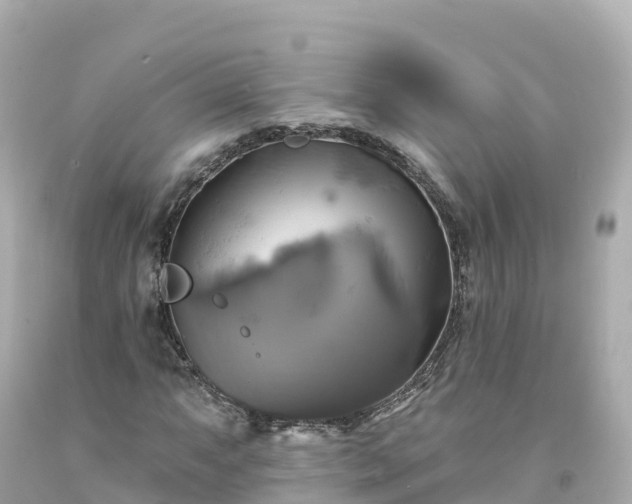 X0000094211063200711021111