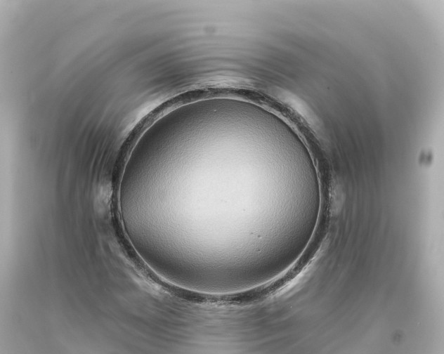 X0000094211065200711021110