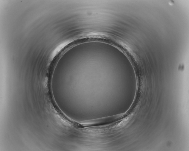 X0000094211066200711021110