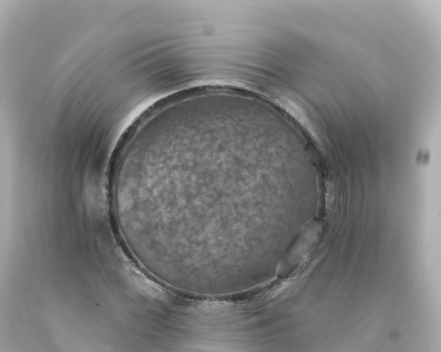 X0000094211068200711021110