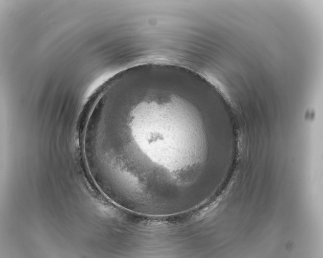 X0000094211070200711021110