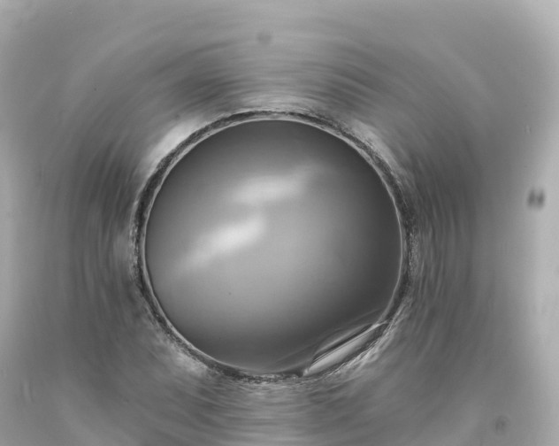 X0000094211071200711021110