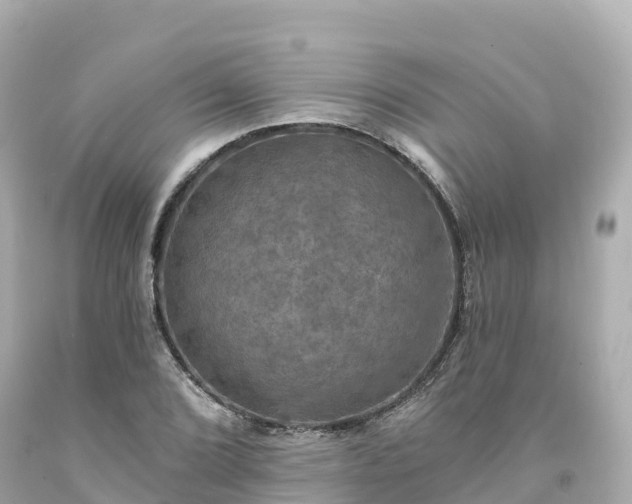 X0000094211072200711021110