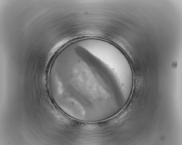 X0000094211074200711021110