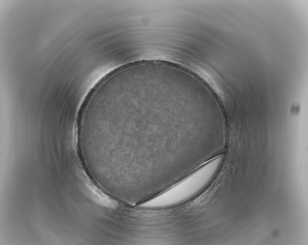 X0000094211076200711021110