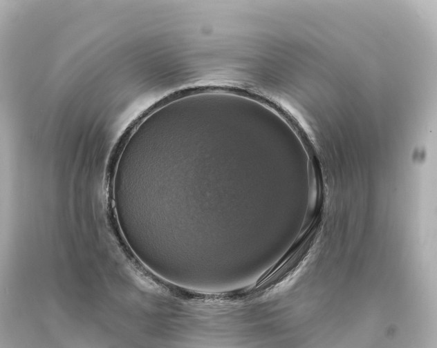 X0000094211077200711021110