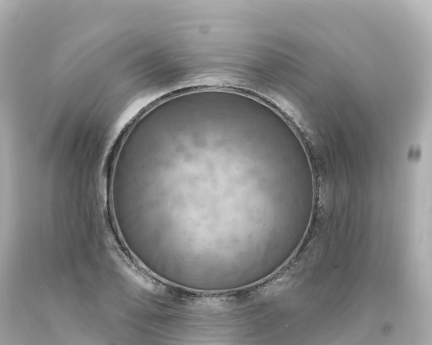 X0000094211078200711021110