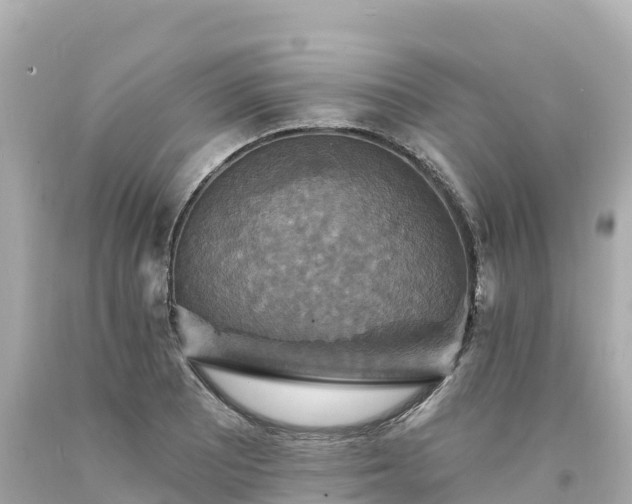 X0000094211081200711021110