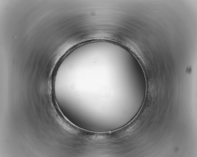 X0000094211082200711021110