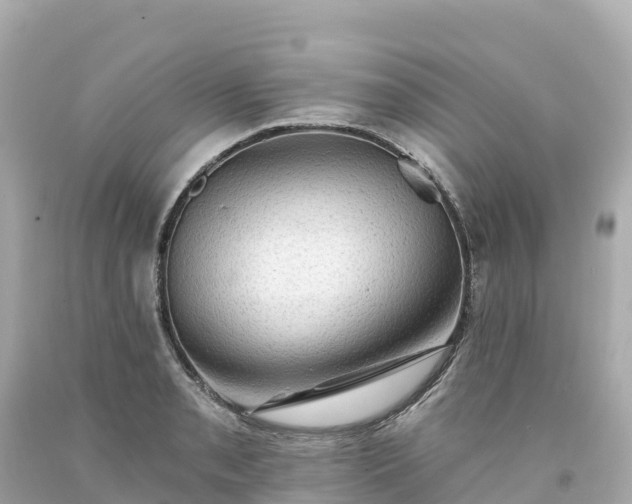 X0000094211085200711021110