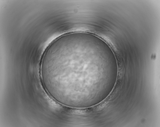 X0000094211086200711021110