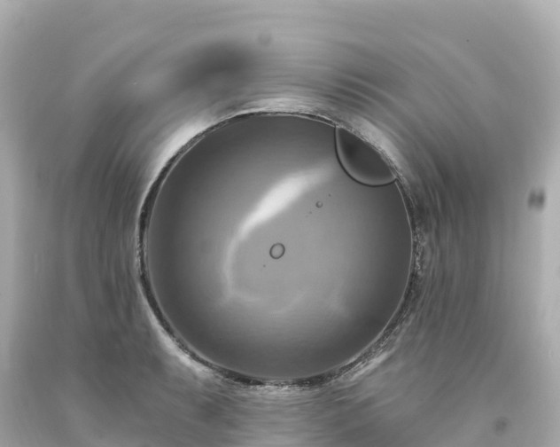 X0000094211087200711021110