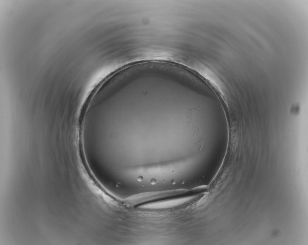 X0000094211088200711021110