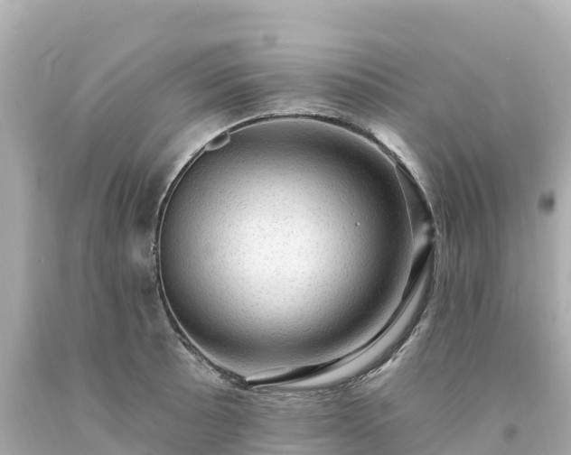 X0000094211089200711021110