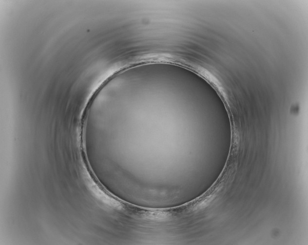 X0000094211090200711021110