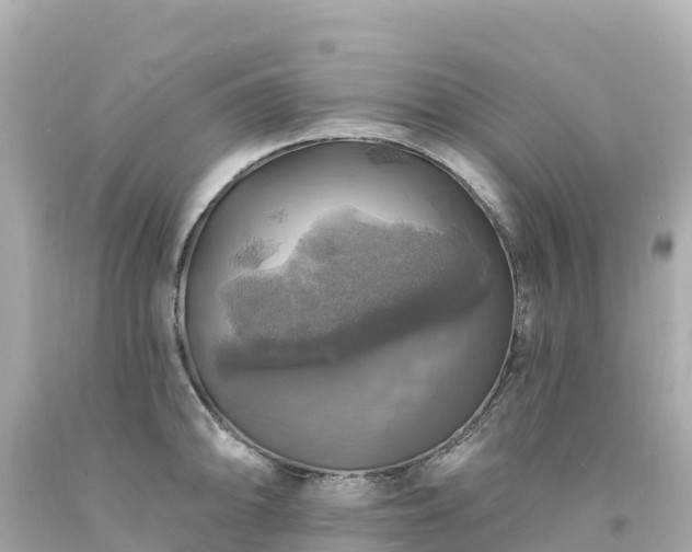 X0000094211094200711021110