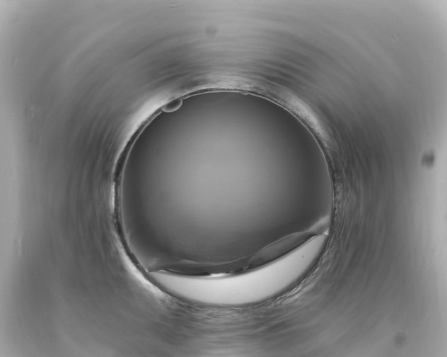 X0000094211095200711021110
