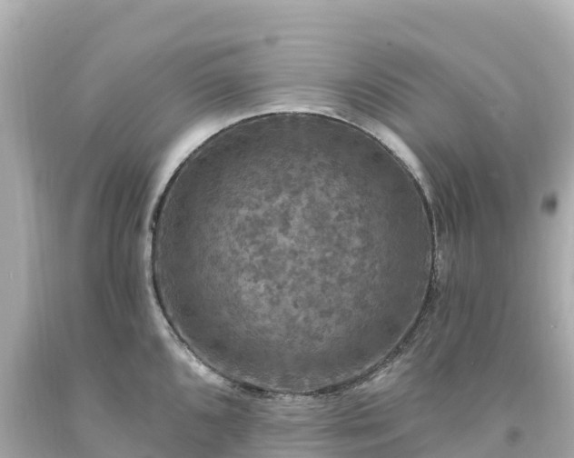 X0000094211096200711021110