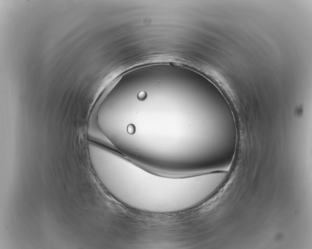 X0000094211097200711021110
