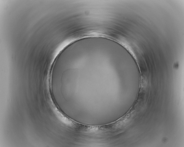 X0000094211098200711021110