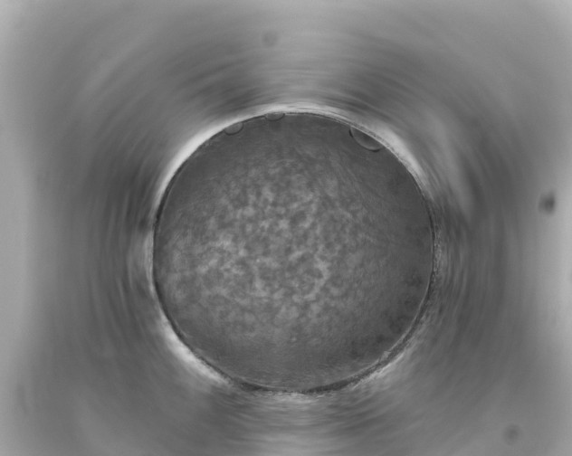 X0000094211100200711021110