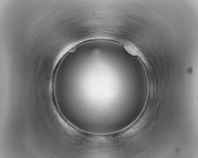 X0000094211101200711021110