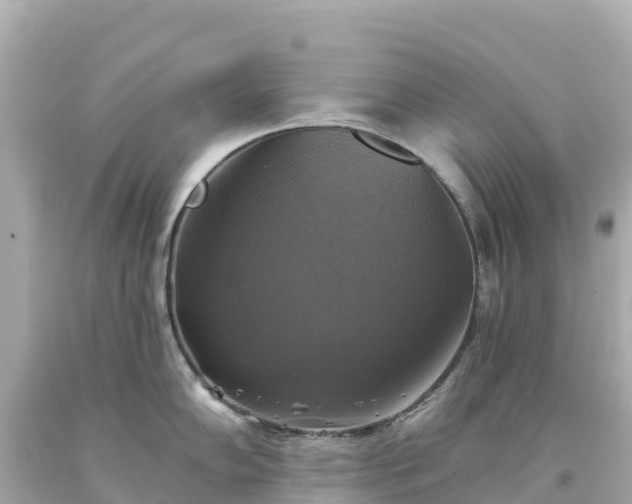 X0000094211102200711021110