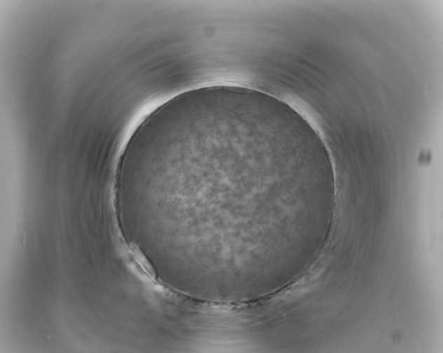 X0000094211104200711021110
