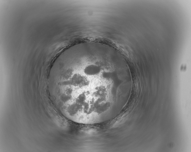 X0000094211105200711021109