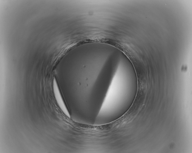 X0000094211106200711021109