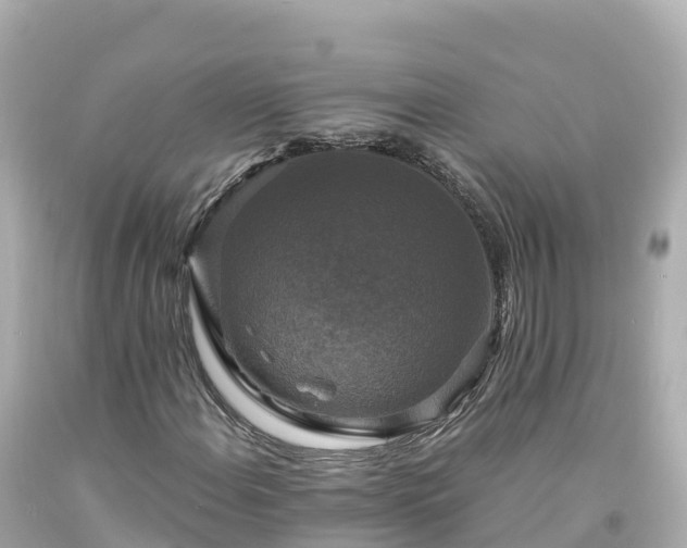 X0000094211108200711021109