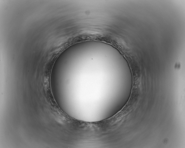X0000094211109200711021109