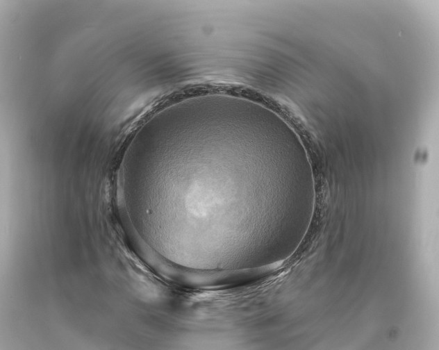 X0000094211110200711021109