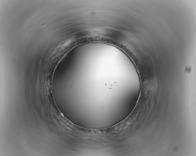 X0000094211111200711021109