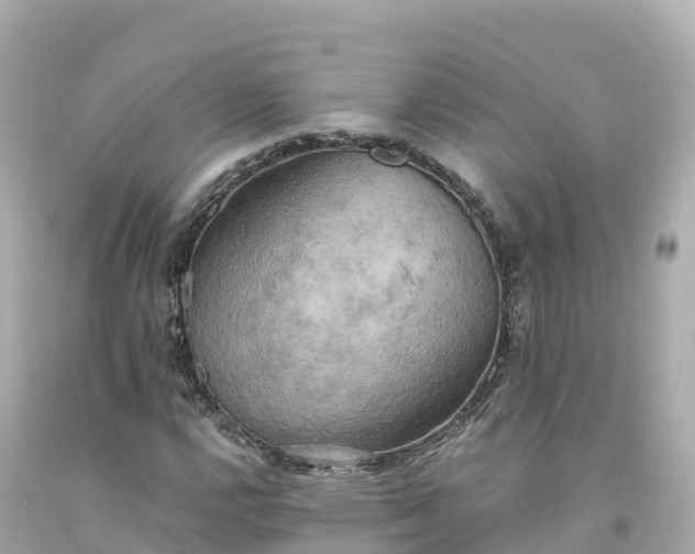 X0000094211112200711021109