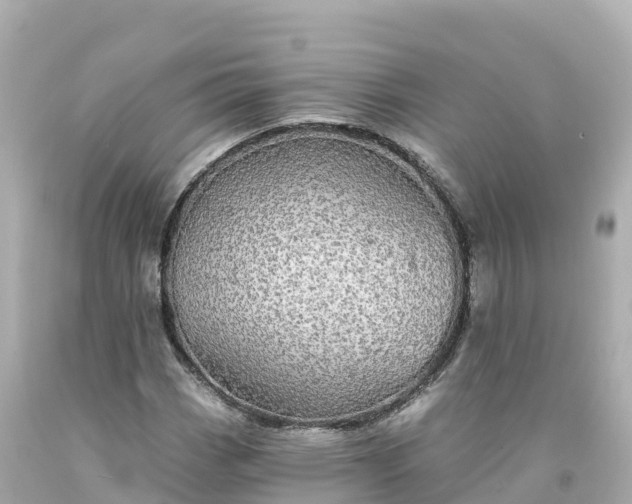 X0000094211113200711021109