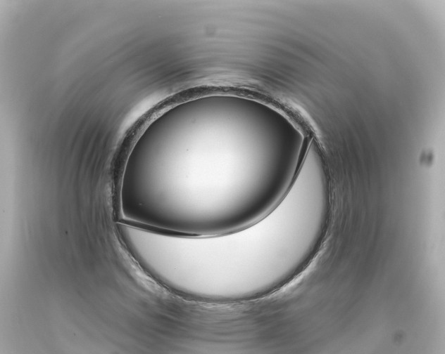 X0000094211114200711021109