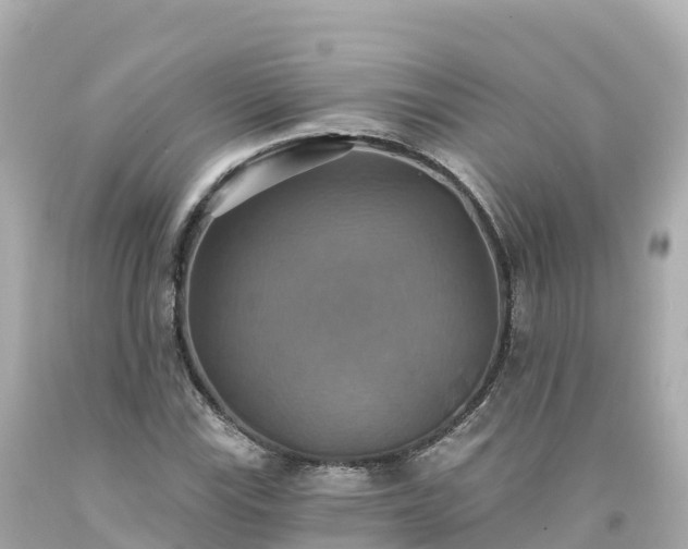X0000094211115200711021109