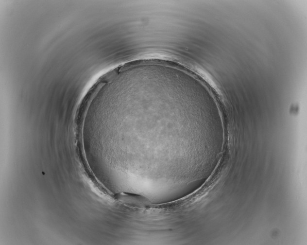 X0000094211116200711021109