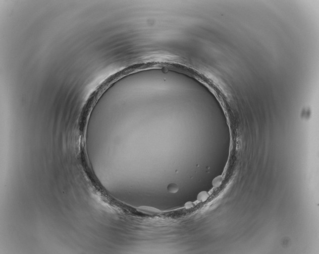 X0000094211117200711021109