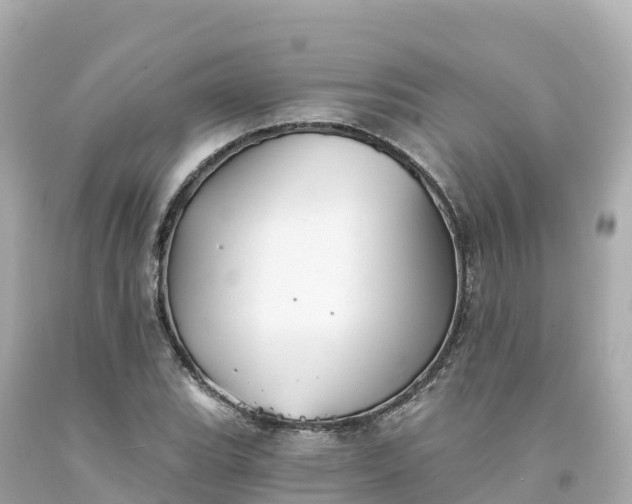 X0000094211119200711021109