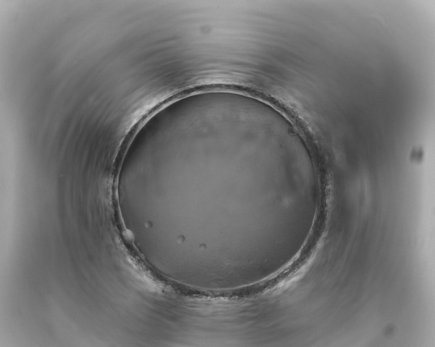 X0000094211121200711021109