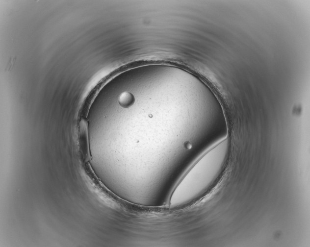 X0000094211122200711021109
